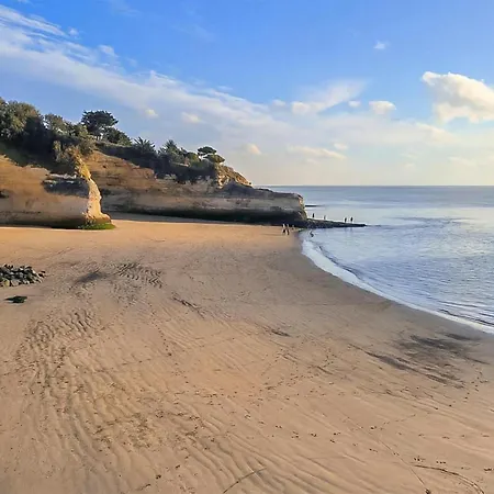 Awesome Home In Meschers-Sur-Gironde With Wifi Ferienhaus